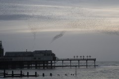 February 2024 - Subdued