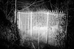 IN_THE_NIGHT_GARDEN