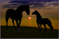 A_Admiring-_The_Wiew