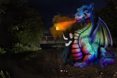 Dragons Den