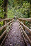 Bridge-over-the-Cletwr