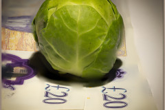 Sandy Spence - Monthly Challenge - December 2024