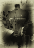 Body-4