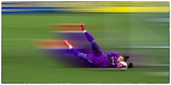 Lady-Goal-Diver