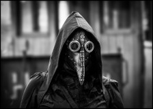 Black_Crow_
