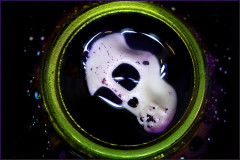 C_Skull_Island