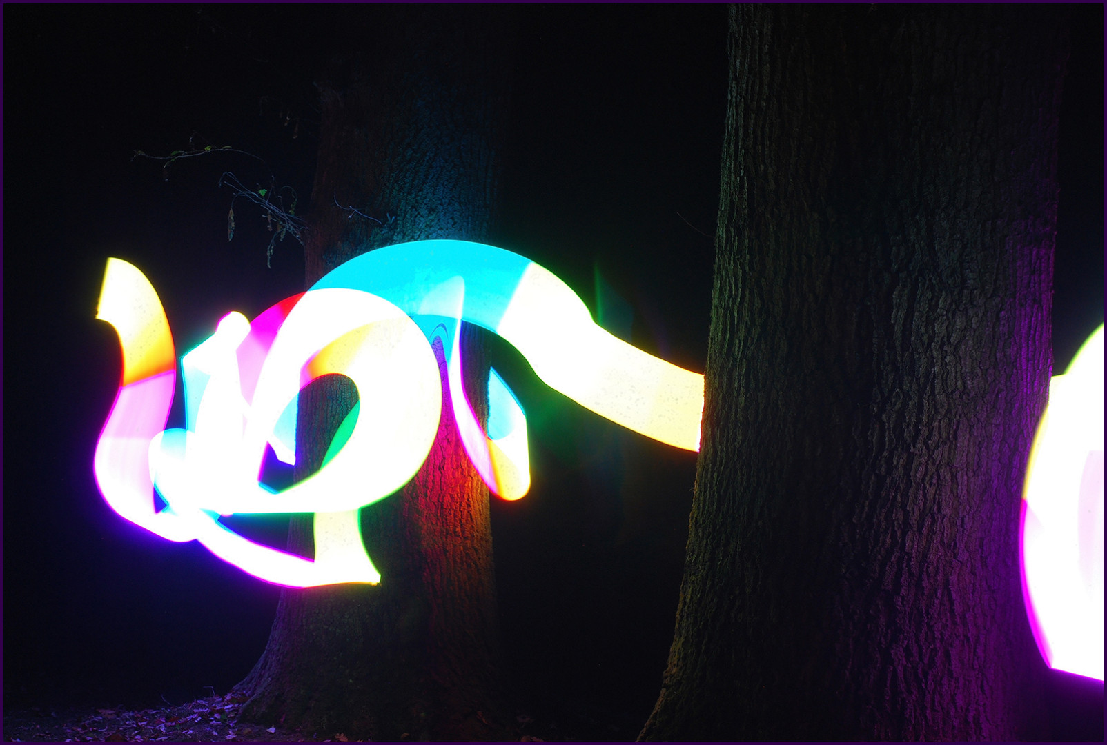 Into_The_Woods