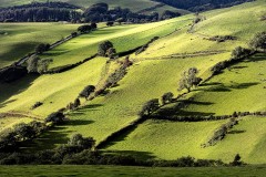 shadows-across-the-land