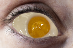 eye-eye