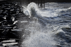 November 2021 Album - Waves
