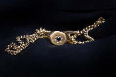 Ring_and_chain