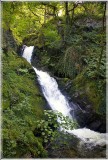 IMG_8671 1