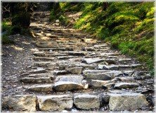 Stepping-up-the-land