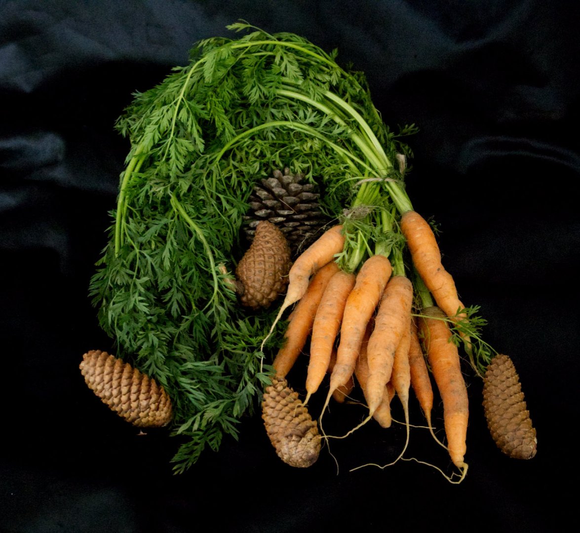 C-Anyone-for-some-free-carrots