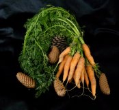 C-Anyone-for-some-free-carrots