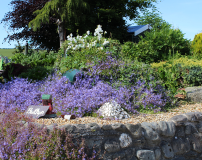 HIDDEN-4-PEEKING-OUT