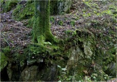 IMG_8918 2