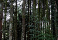 IMG_8897 1