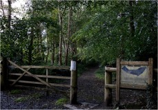 IMG_8901 1